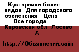 Кустарники более 100 видов. Для городского озеленения › Цена ­ 70 - Все города  »    . Кировская обл.,Лосево д.